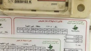بخطوات بسيطة.. تسجيل قراءة عداد غاز بتروتريد وسداد الفاتورة إلكترونيًا لعام 2026